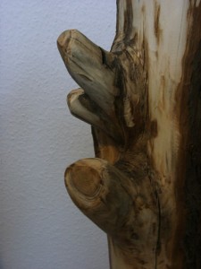 Katzenbaum 1 Ausschnitt         